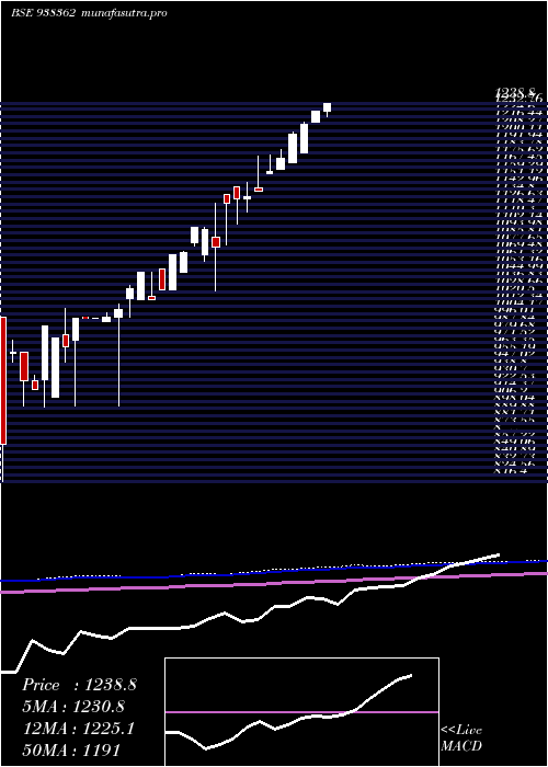 monthly chart Zcefsl26
