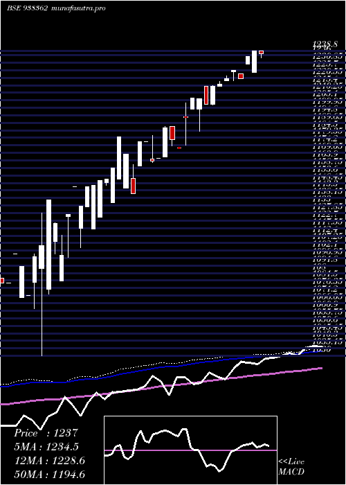 weekly chart Zcefsl26
