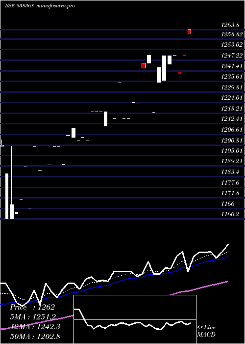 Daily chart Zcefsl28