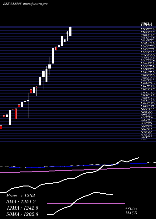 monthly chart Zcefsl28