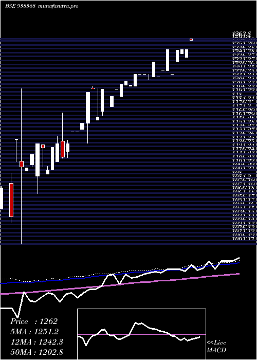 weekly chart Zcefsl28