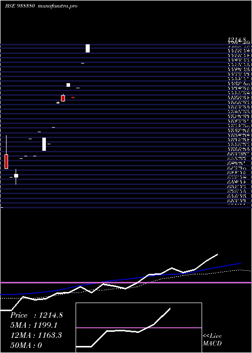 monthly chart 0ifl26
