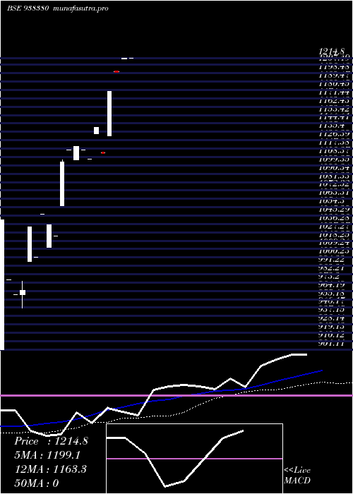weekly chart 0ifl26