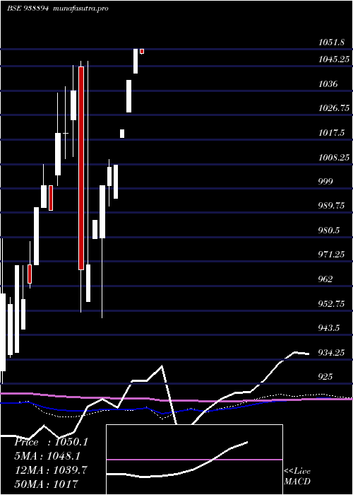 monthly chart 895efsl25a