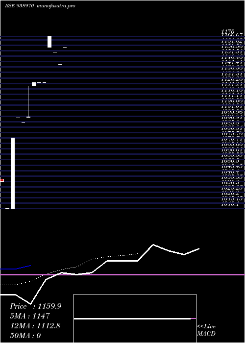 Daily chart SclZc