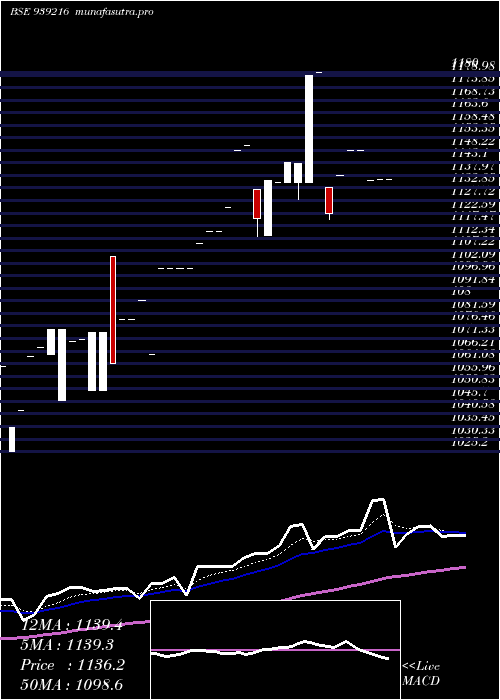 Daily chart Mfl250124