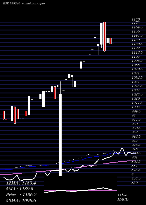 weekly chart Mfl250124