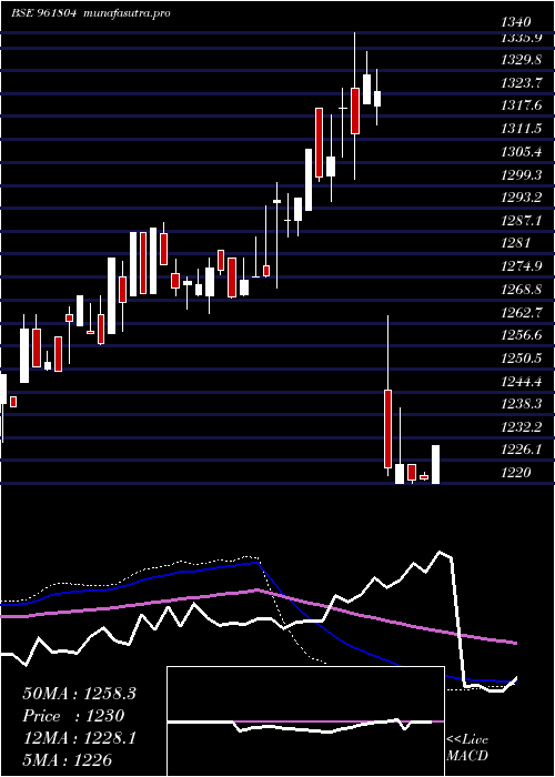  weekly chart 892pfc33