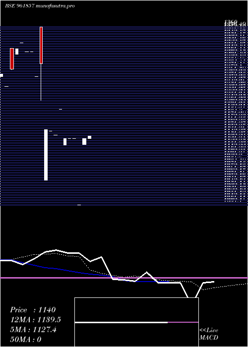 monthly chart 873hudco29