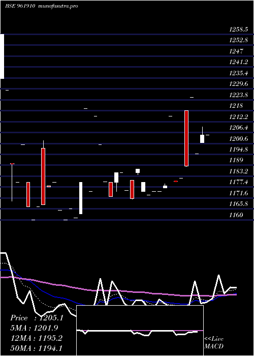  Daily chart 762ntpc35f