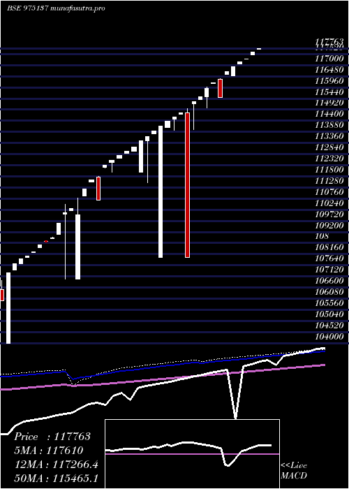 weekly chart 0msfl25a