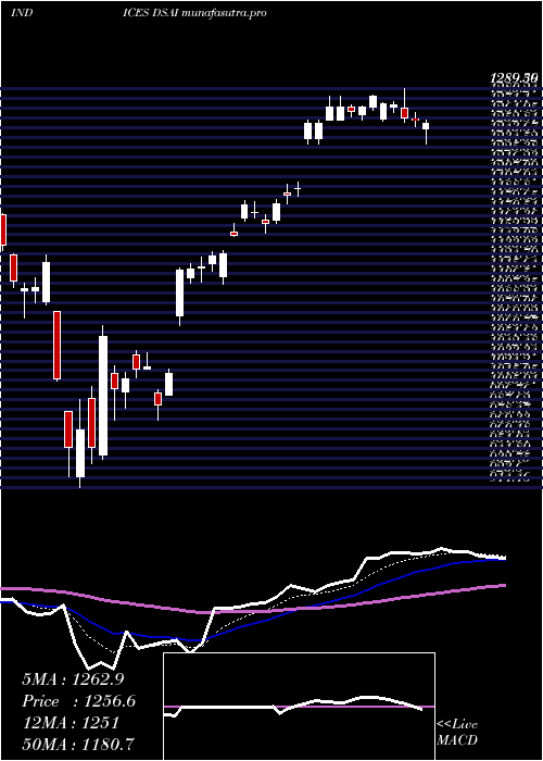 Daily chart DjUs