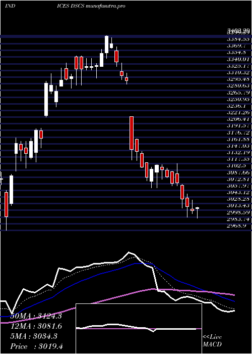 Daily chart DjUs
