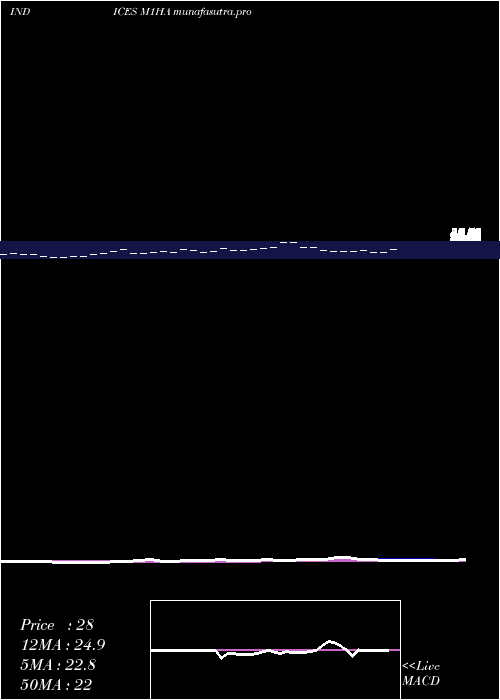 Daily chart 1Month