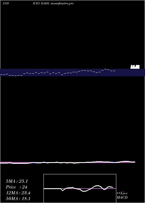 Daily chart 12Month