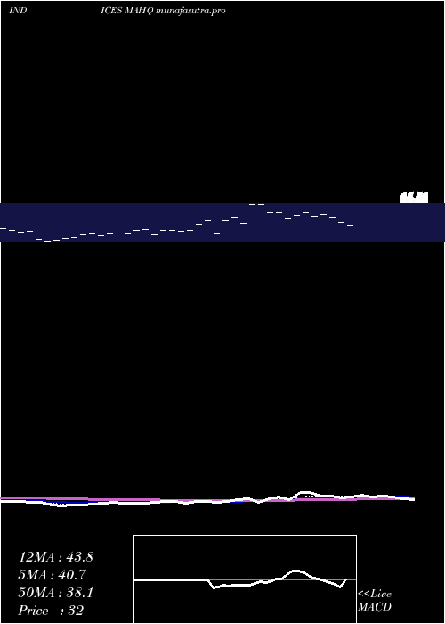 Daily chart 12Month