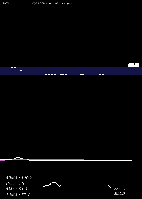 Daily chart 12Month