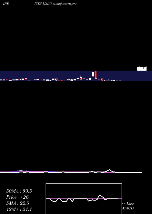 weekly chart 12Month
