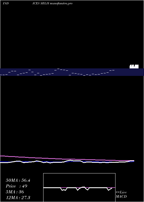 Daily chart YtdLows