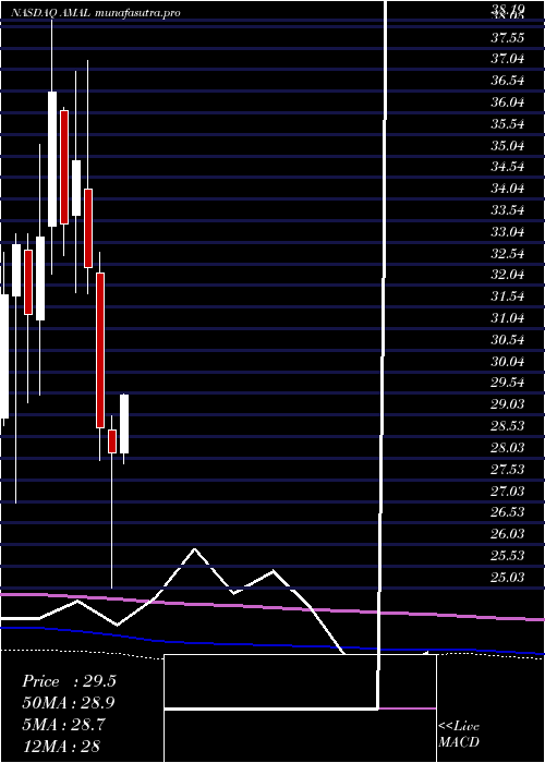 monthly chart AmalgamatedBank