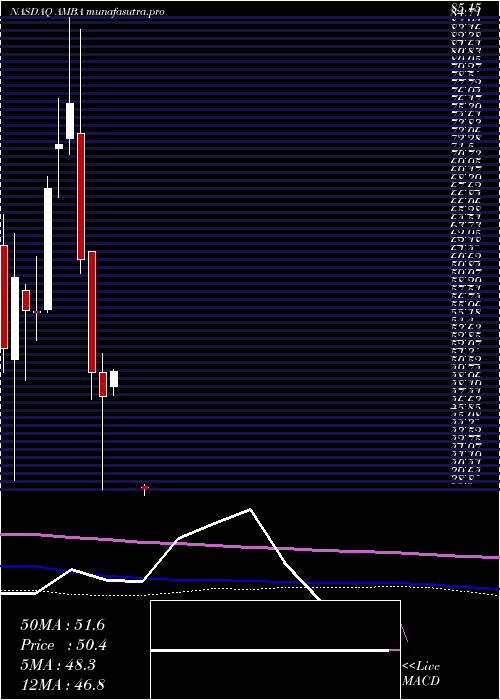 monthly chart AmbarellaInc