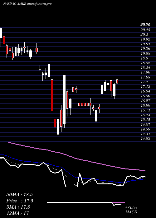 Daily chart AmkorTechnology