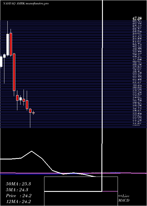 monthly chart AMark