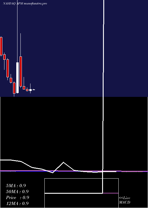 monthly chart AptorumGroup