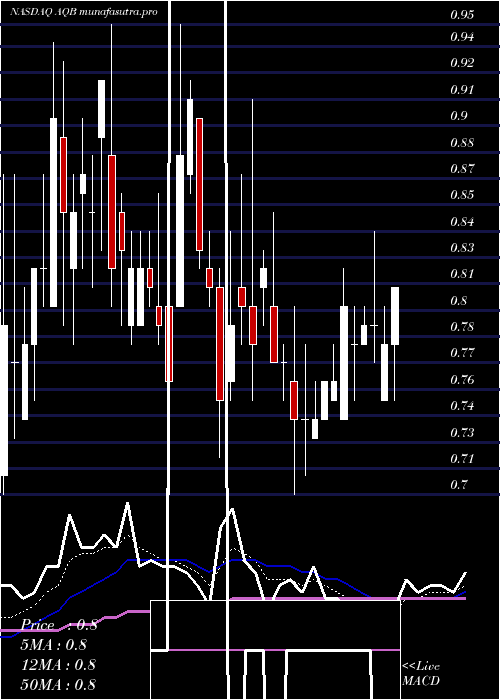 Daily chart AquabountyTechnologies