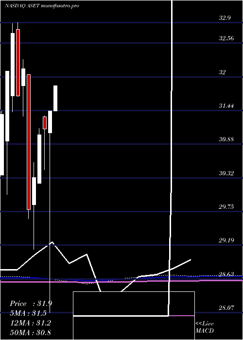 monthly chart FlexsharesReal