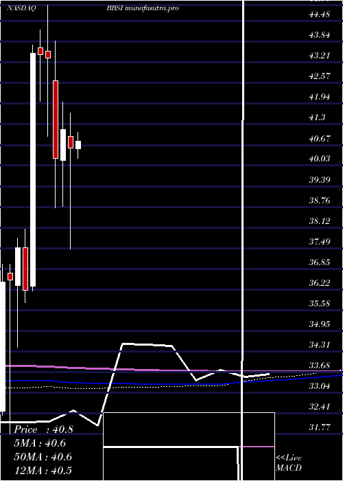 monthly chart BarrettBusiness