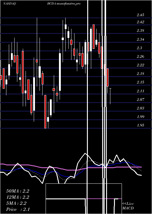 Daily chart BiocardiaInc