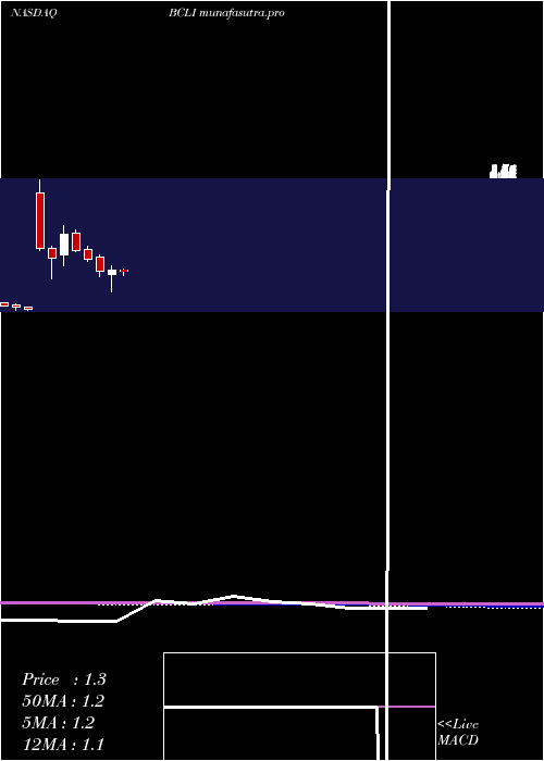 monthly chart BrainstormCell
