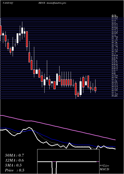 Daily chart BiodesixInc
