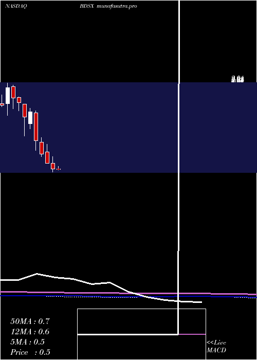 monthly chart BiodesixInc