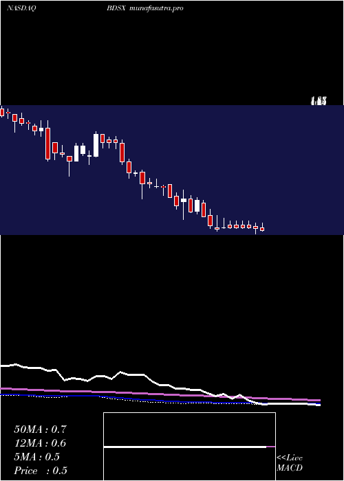weekly chart BiodesixInc