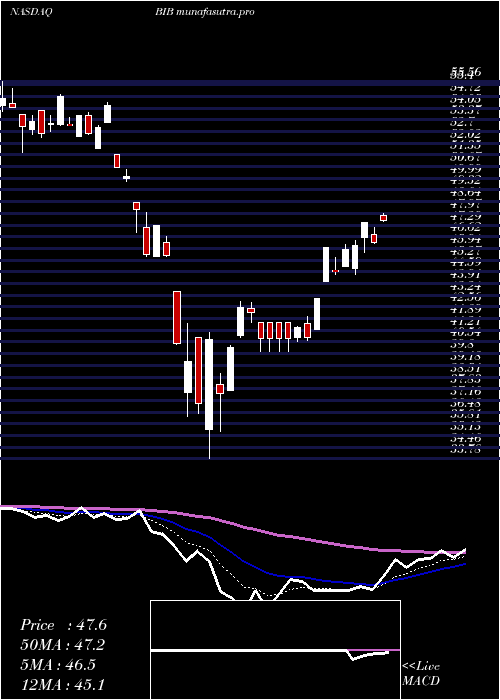 Daily chart ProsharesUltra