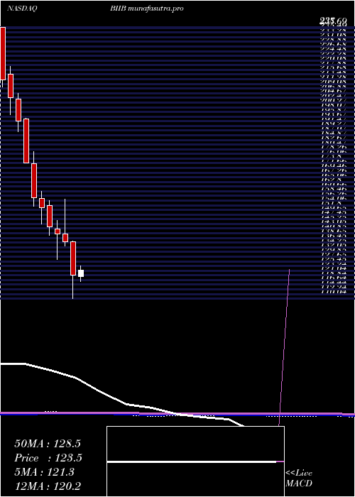 monthly chart BiogenInc