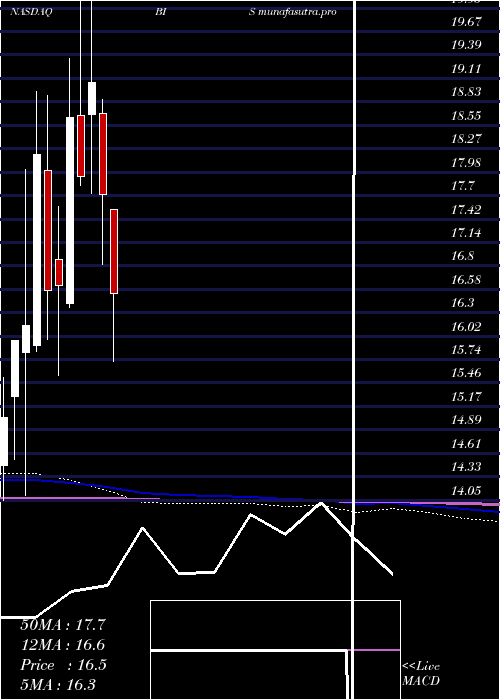 monthly chart ProsharesUltrashort