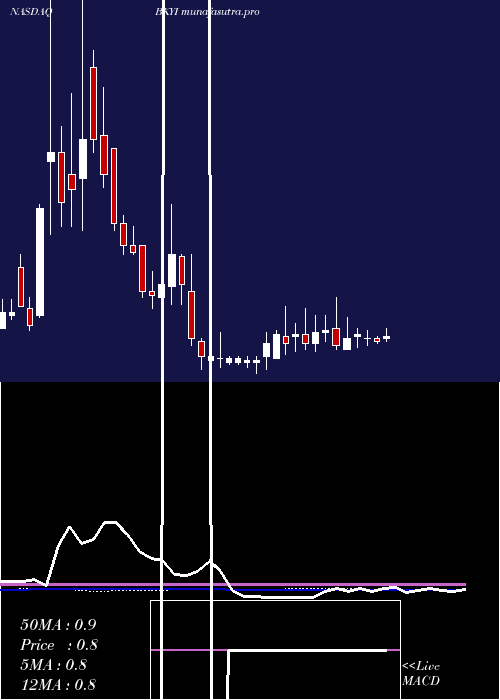 weekly chart BioKey