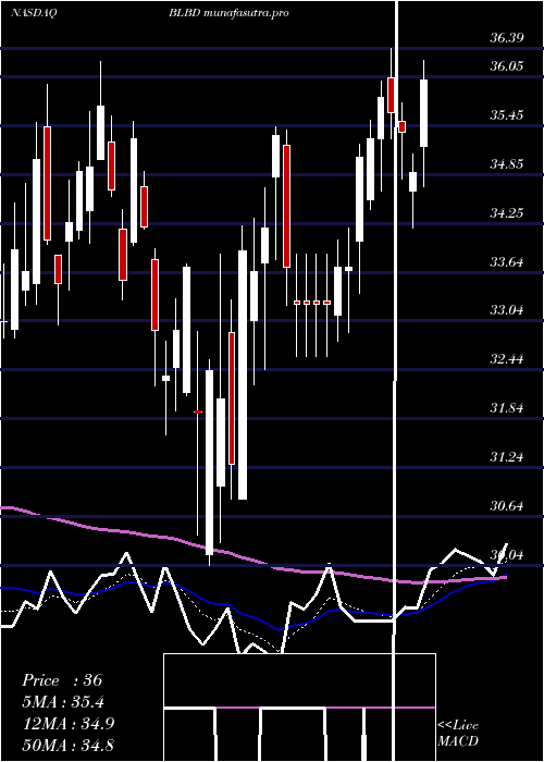 Daily chart BlueBird