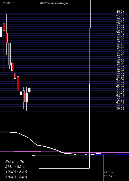 monthly chart BlueBird
