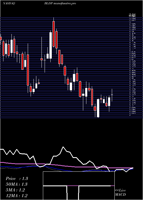 weekly chart BallardPower