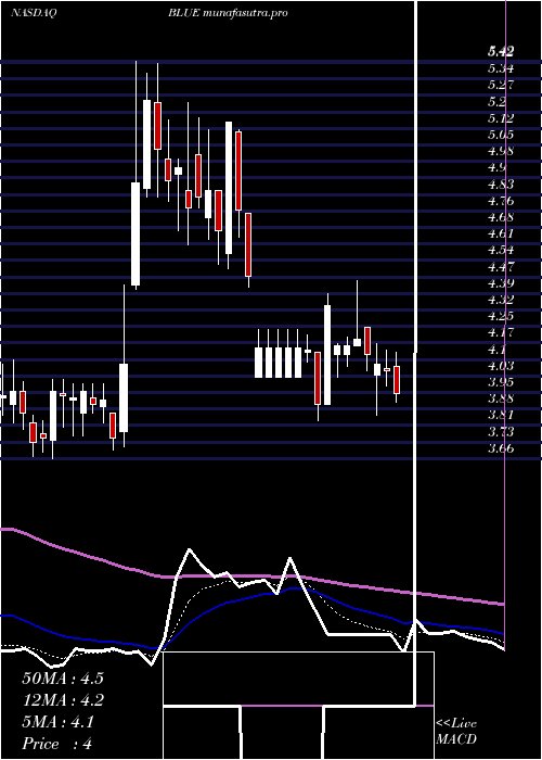 Daily chart BluebirdBio