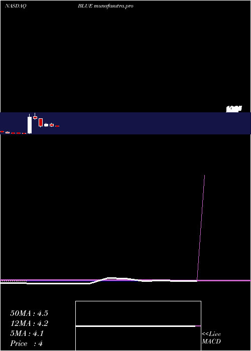 monthly chart BluebirdBio