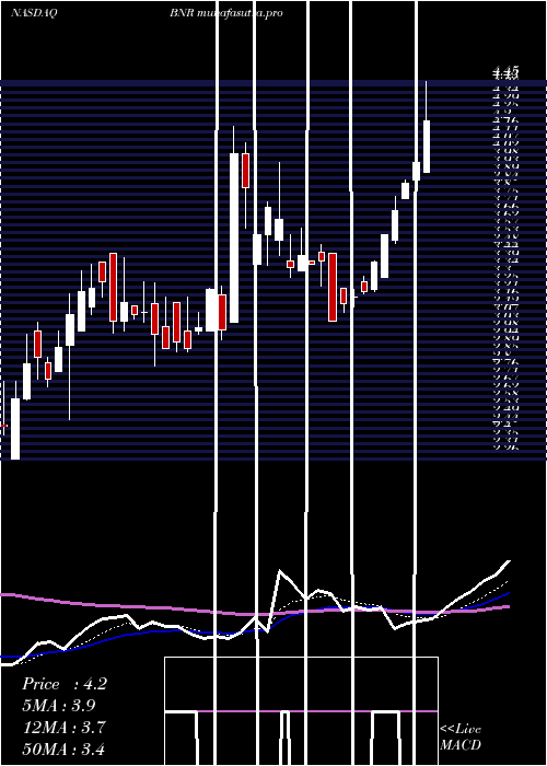 Daily chart BurningRock