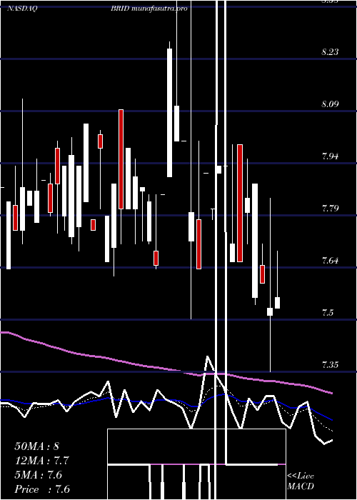 Daily chart BridgfordFoods