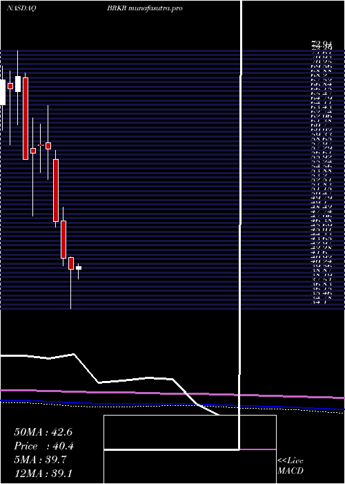 monthly chart BrukerCorporation
