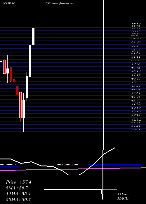 monthly chart BentleySystems