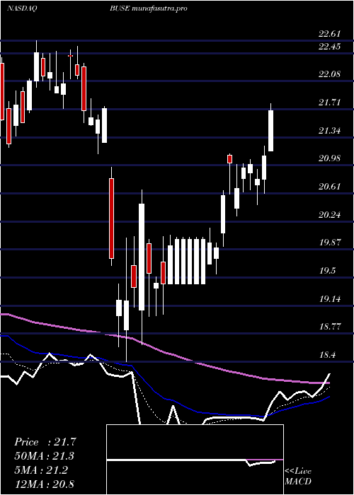 Daily chart FirstBusey